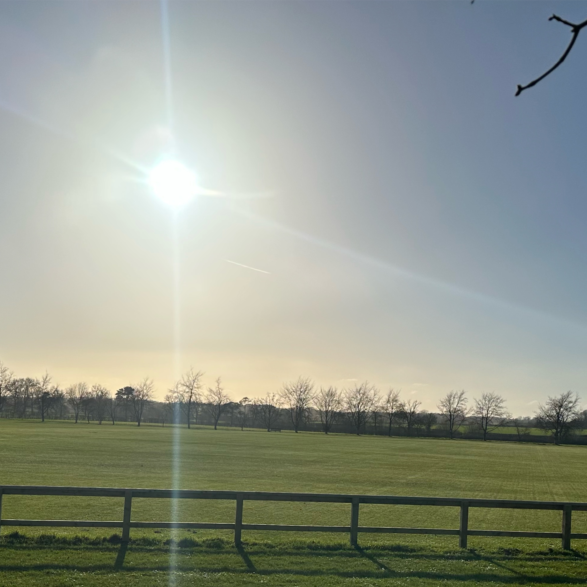 Youth Section 2026 Info